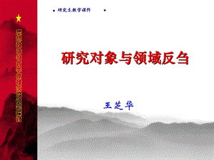 研究对象与领域反刍.ppt