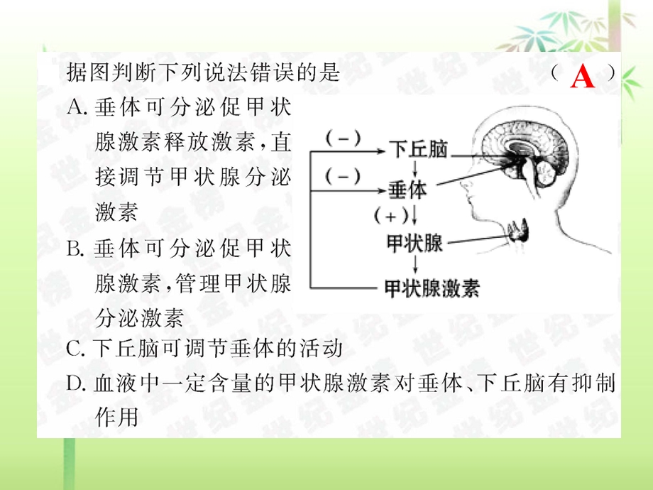 生物必修三2.3-神经调节与体液调节的关系.ppt_第2页