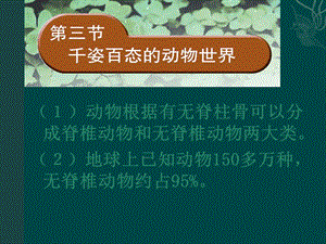 生物下册223千姿百态的动物世界课件苏教.ppt