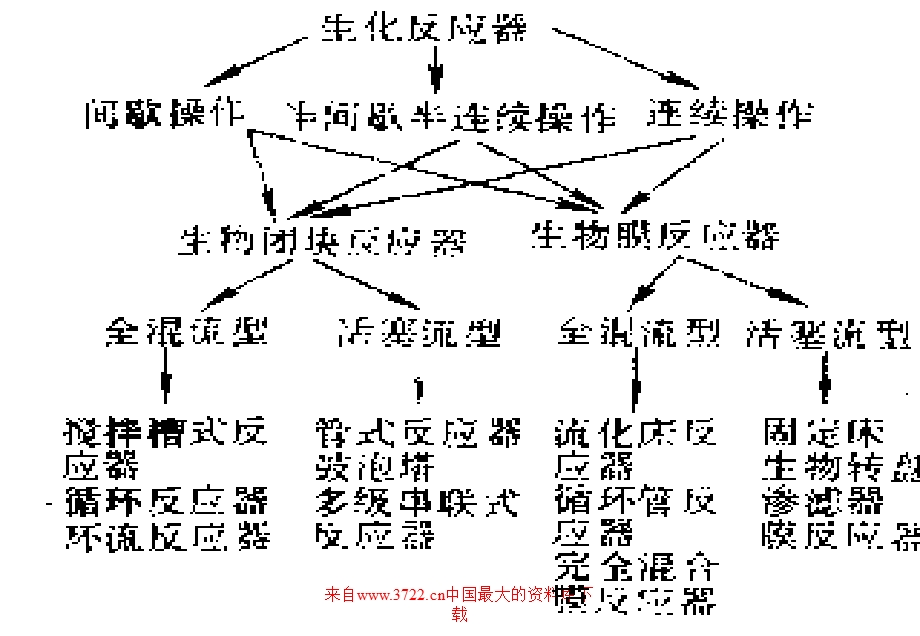 生物过程的反应原理3(PPT).ppt_第2页