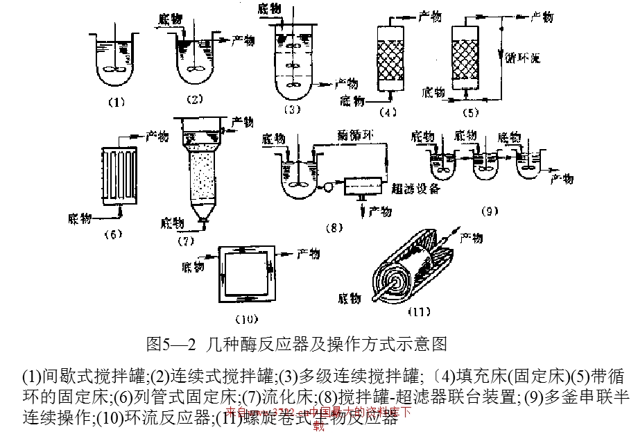 生物过程的反应原理3(PPT).ppt_第3页