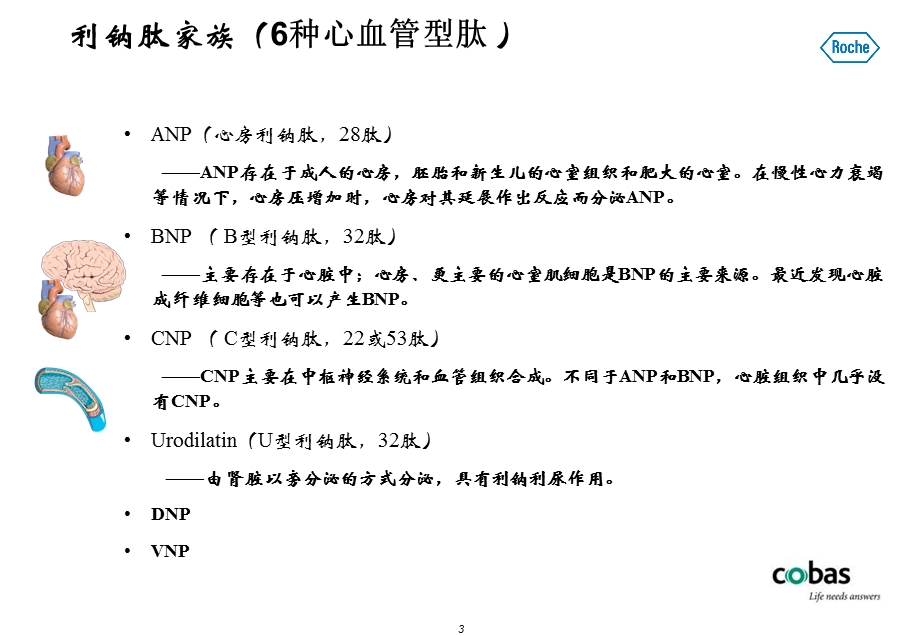 生物学基础和化验室指标的应.ppt_第3页