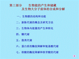 生物能的产生和储藏及生物大分子前体的合成和分解.ppt