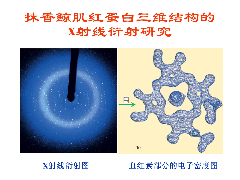 生物化学第5章蛋白质的三维结构.ppt_第3页