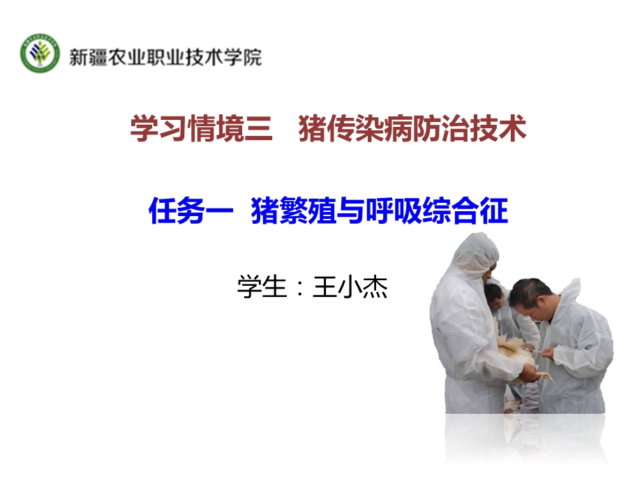 猪的繁殖与呼吸综合征.ppt_第1页