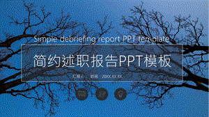 简约述职报告ppt模板.pptx