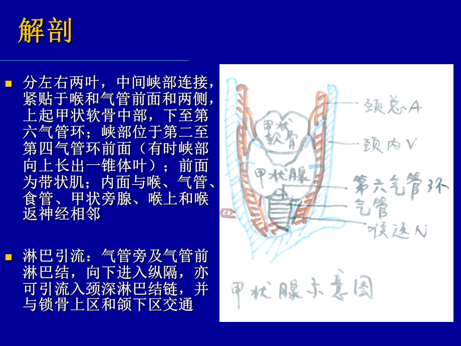 甲状腺癌讲课PPT.ppt_第2页