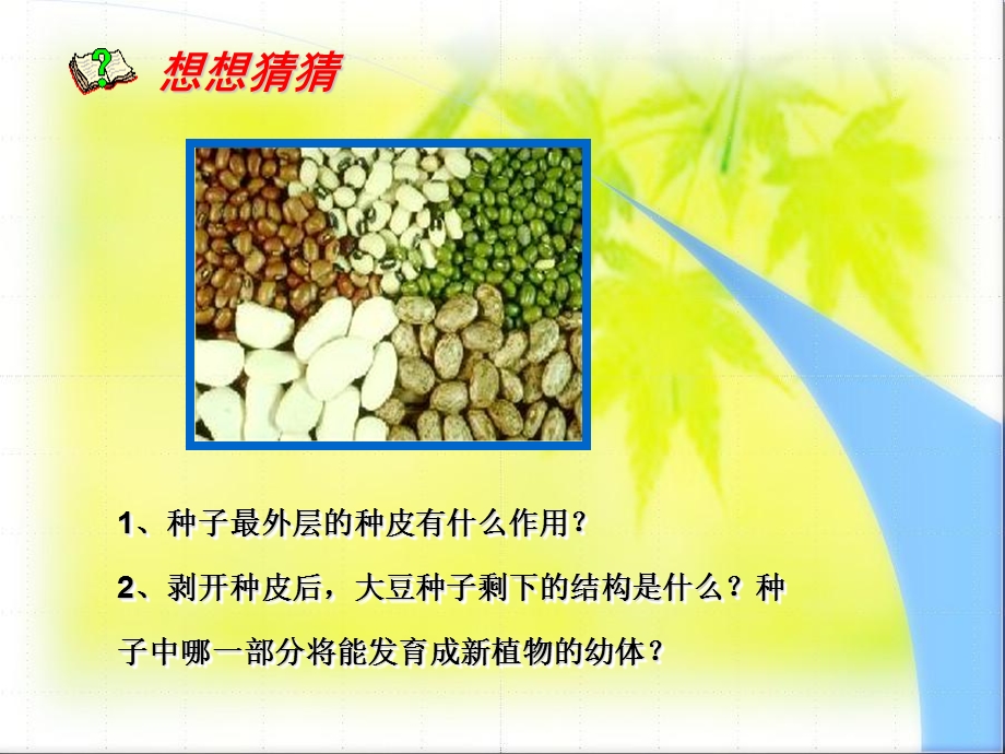 生物课件《植物种子的萌发》.ppt_第3页