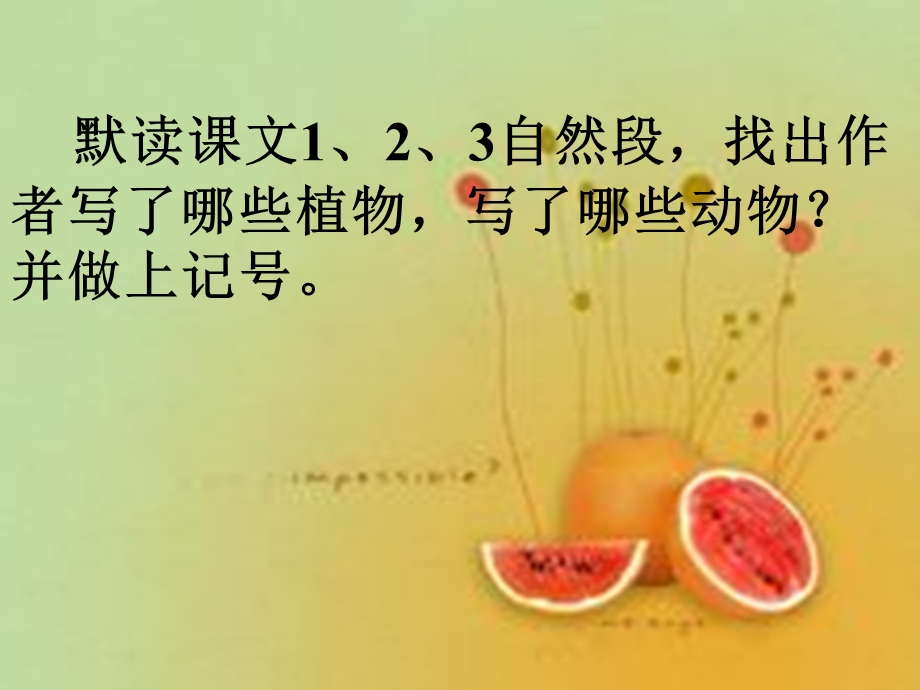 祖父的园子(语文主题学习课件).ppt_第2页