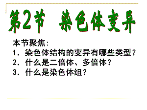 生物必修二5.2染色体变异.ppt