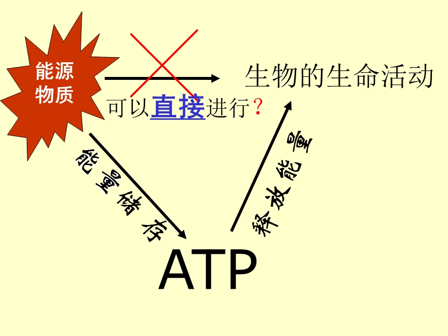 生物必修1五章第2节细胞的能量通货-ATP.ppt_第2页