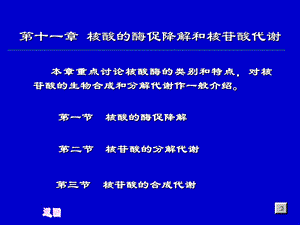 生物化学合工大第十二章核酸的酶促降解和核苷酸代谢.ppt