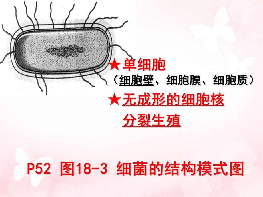 生物2014年8上(3、9复习).ppt_第3页