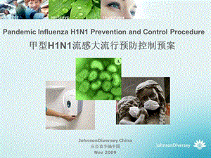 甲型h1n1流感大流行预防和控制庄臣泰华施.ppt