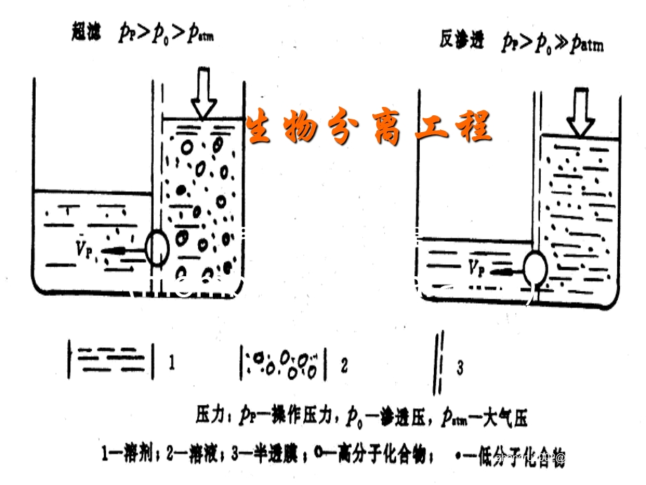 生物分离工程 膜分离过程.ppt_第1页