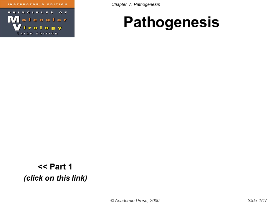 病毒学双语版课件Cha.ppt_第1页