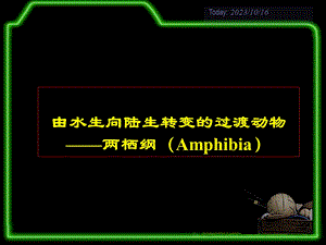 生物学奥赛辅导课件动物学1两栖纲.ppt