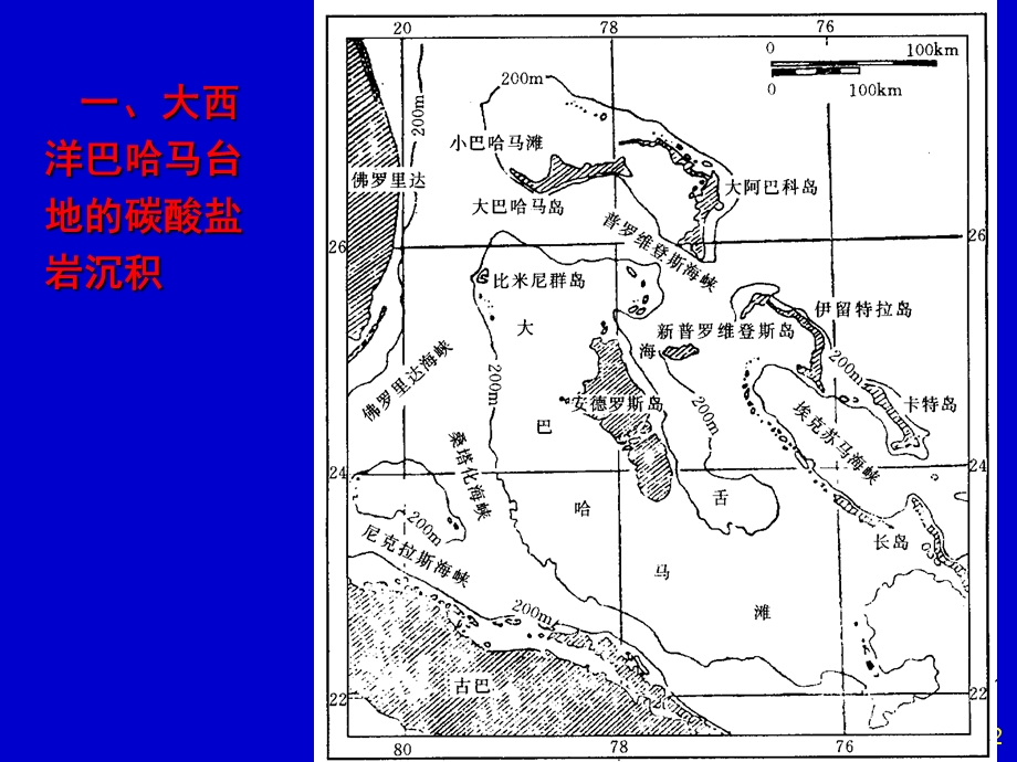 碳酸盐岩成因及环境.ppt_第2页