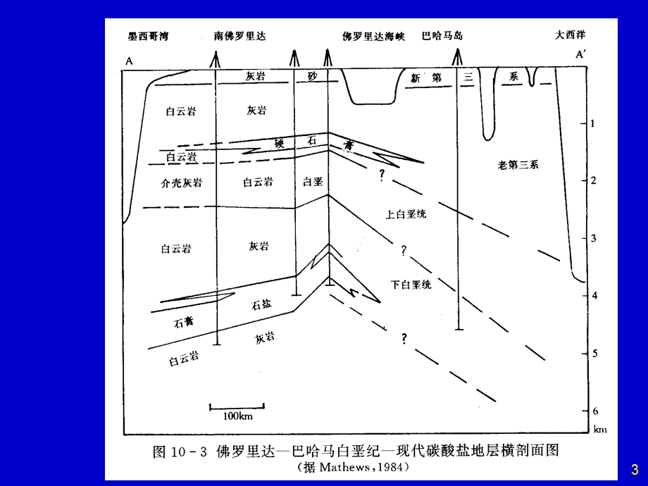 碳酸盐岩成因及环境.ppt_第3页