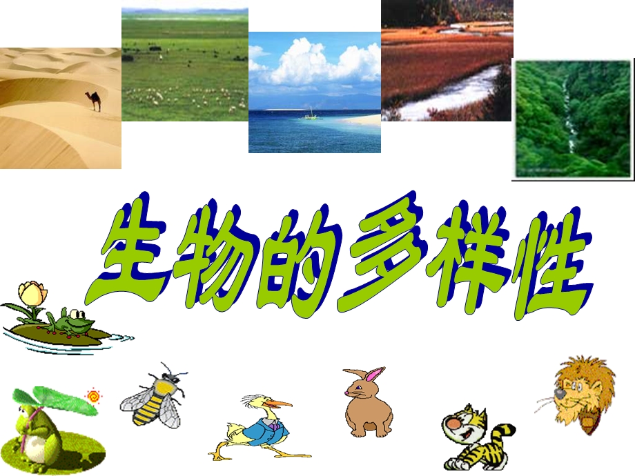 生物生物的多样性.ppt_第1页