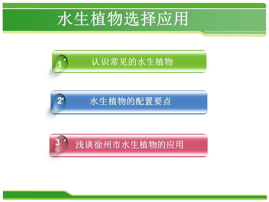 水生植物及应用.ppt_第1页