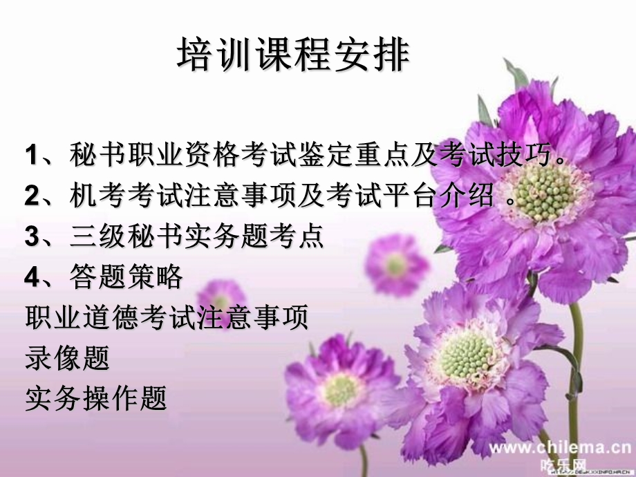 秘书考试考前培训.ppt_第2页