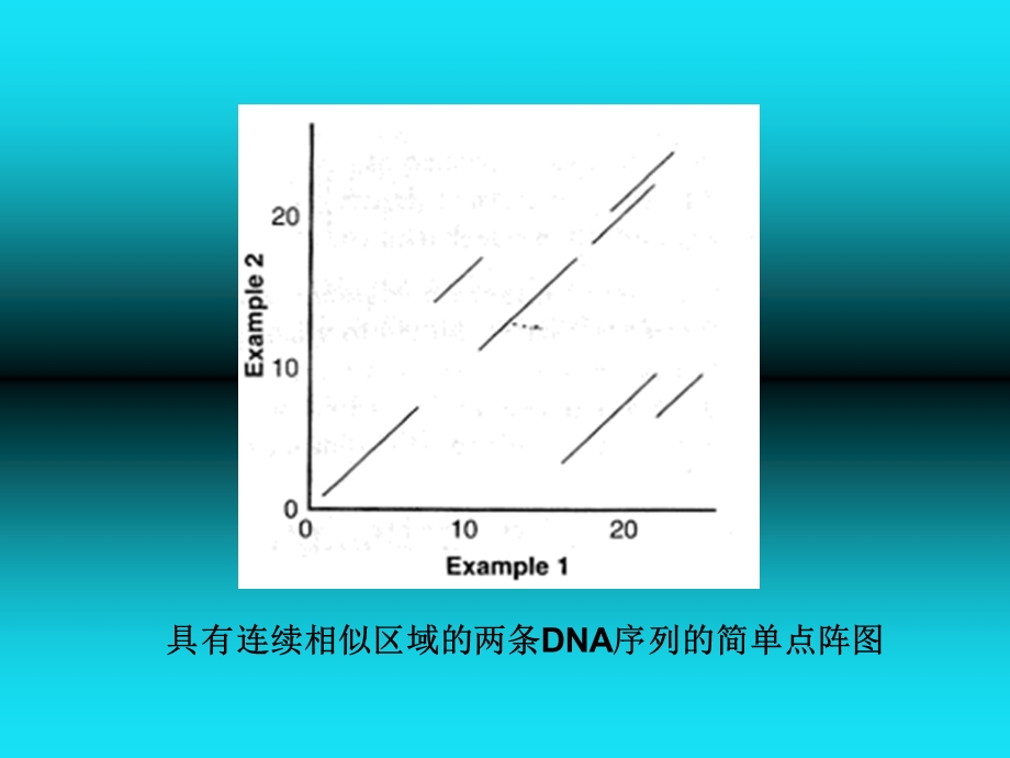 生物信息学概论第二章数据库搜索与两两比对.ppt_第3页