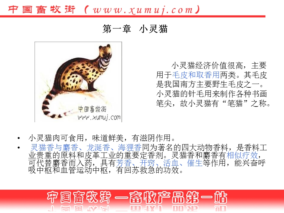 特种动物-灵猫养殖.ppt_第2页