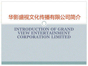 盛视公司介绍(中文.ppt