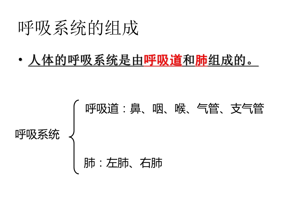 生物七年级下册第三章复习总结.ppt_第2页