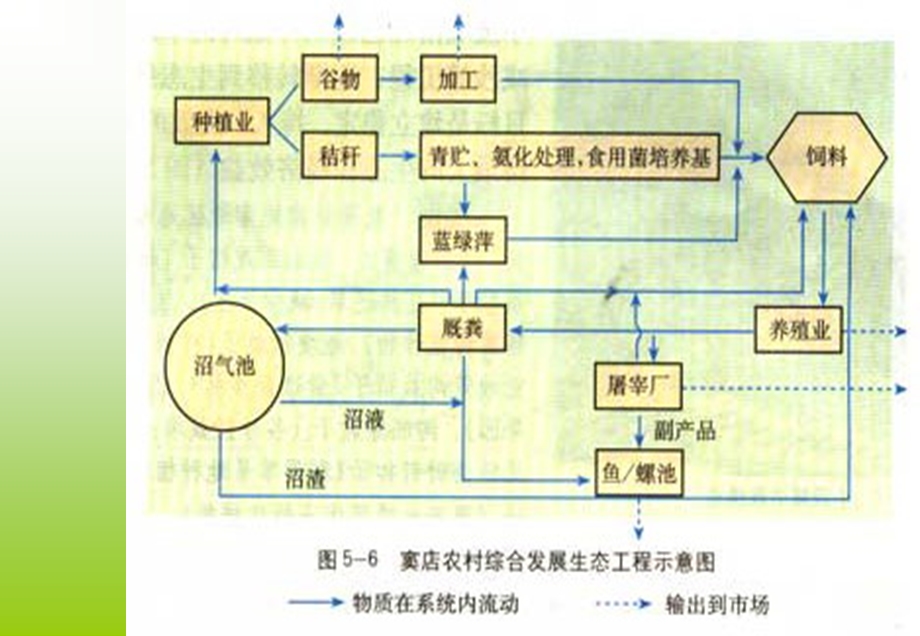 生态工程的实例和应用前景.ppt_第3页