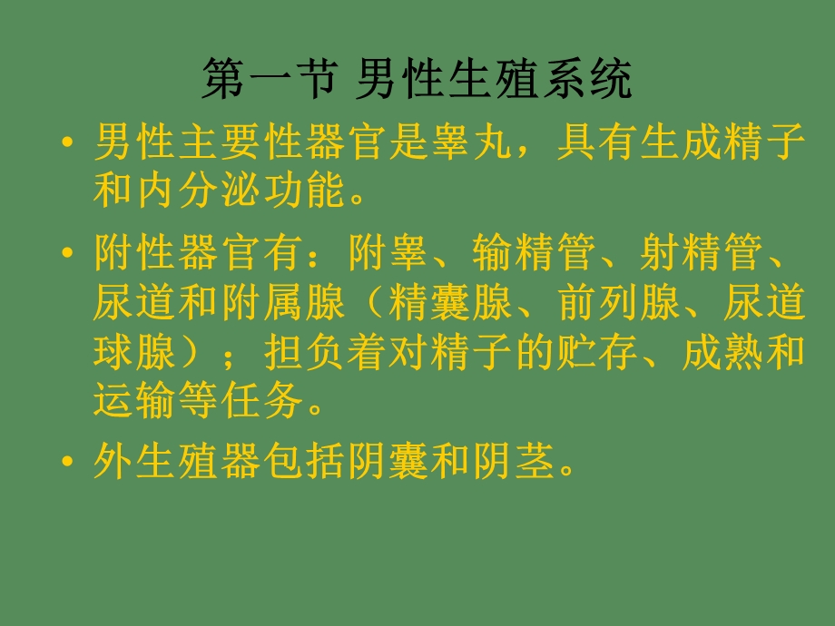 生殖系统生理.ppt_第3页