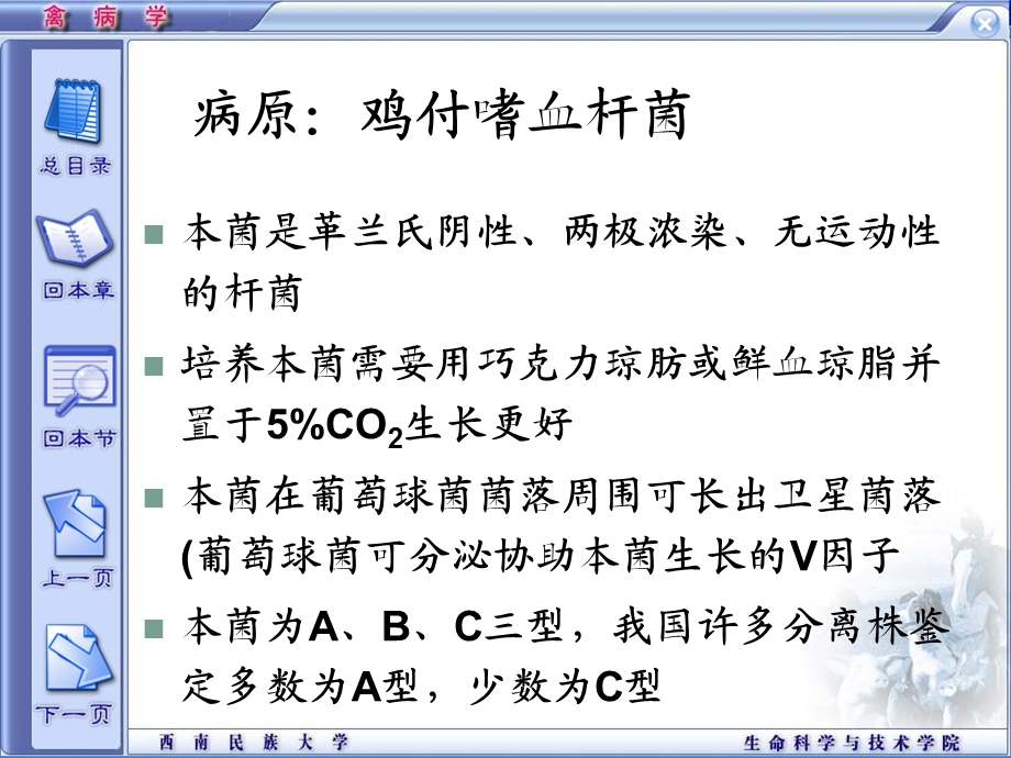 精品课程《禽病学》ppt04禽传染性鼻炎.ppt_第2页