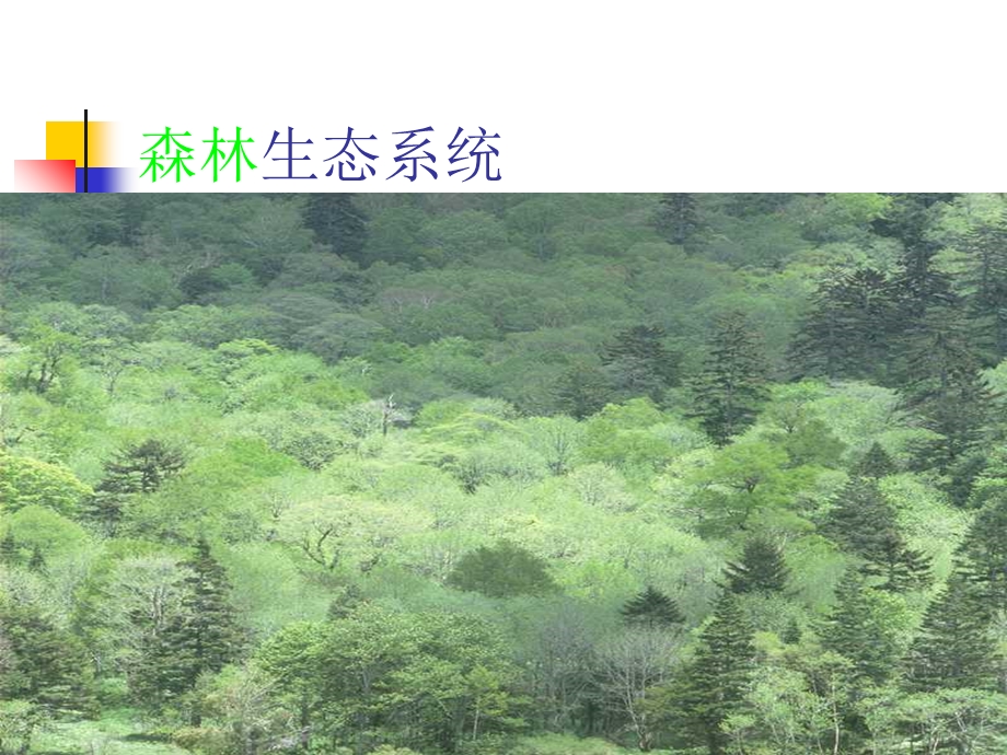 生物圈是最大的生态系统yh.ppt_第2页