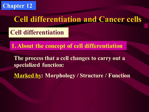 生物细胞：细胞分化与基因表达调控.ppt