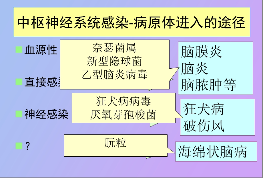 神经系统感染.ppt_第2页