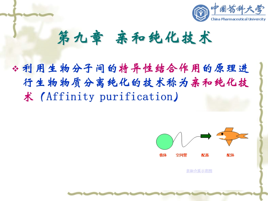 生物制药工艺学第9章亲和纯化技术.ppt_第1页