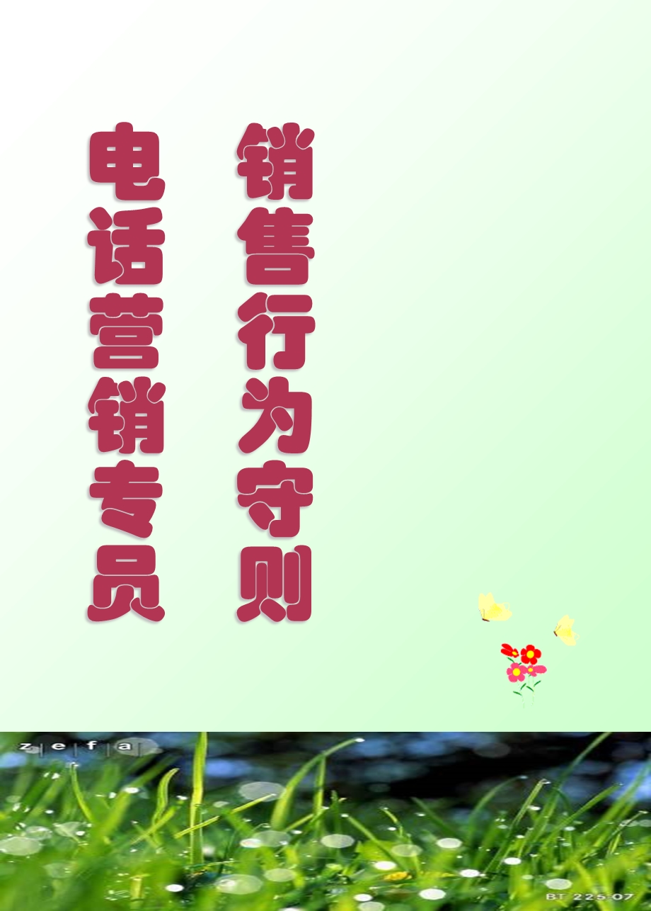 电销人员销售守则.ppt_第1页