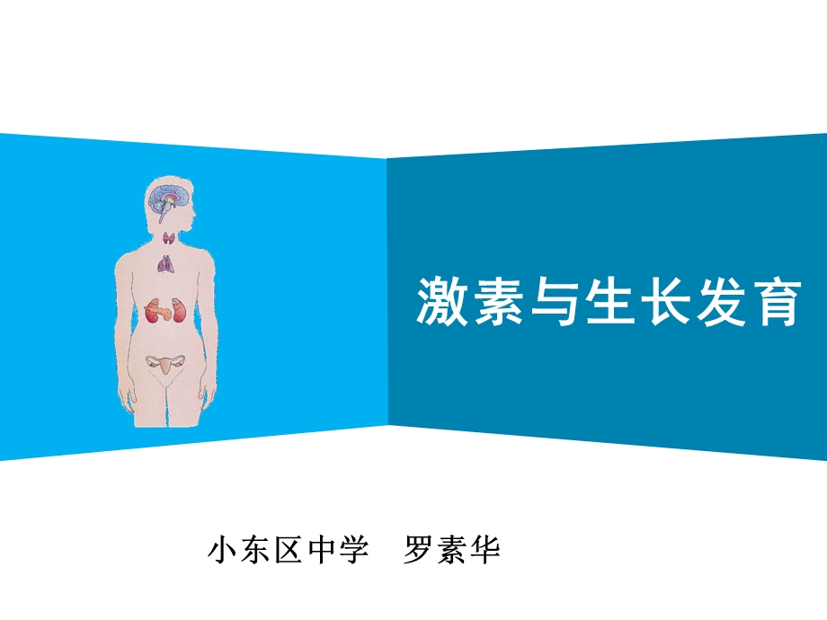 激素与生长发育课件.ppt_第2页