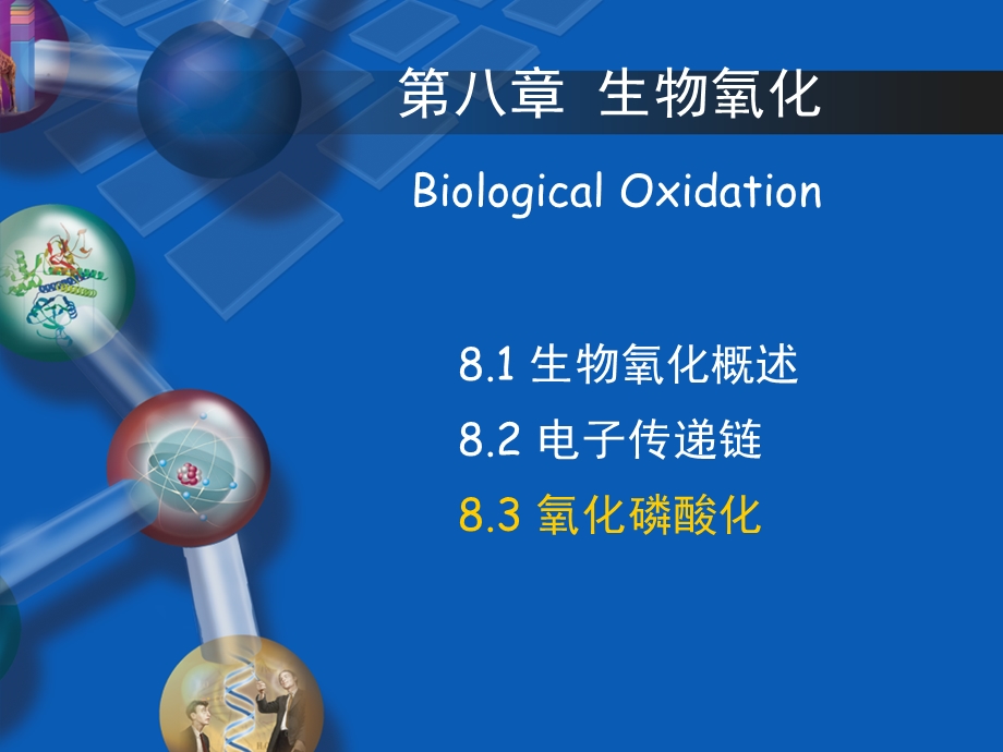 生物化学第五章-生物氧化-第三节-氧化磷酸化.ppt_第1页