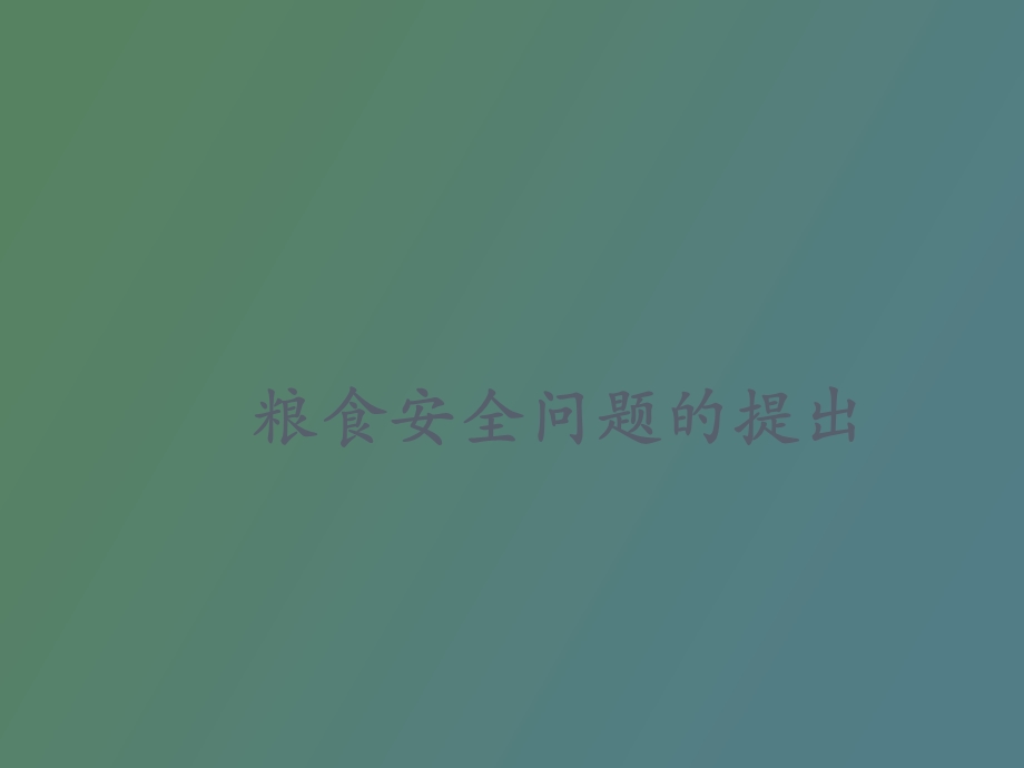 粮食安全问题.ppt_第1页