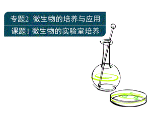 生物选修一2.1：《微生物的实验室培养》.ppt