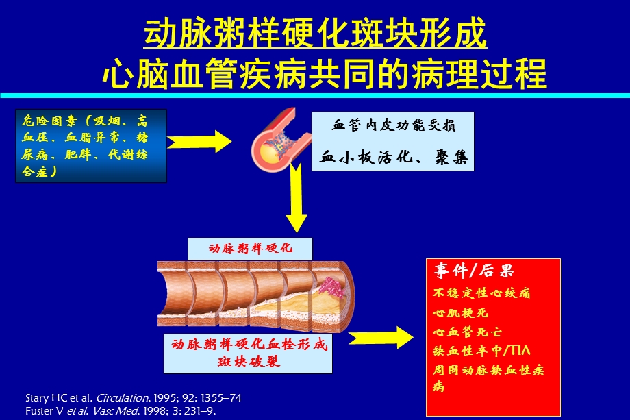 环氧化酶抑制剂在心脑血管疾病的临床应用研究-修改.ppt_第3页