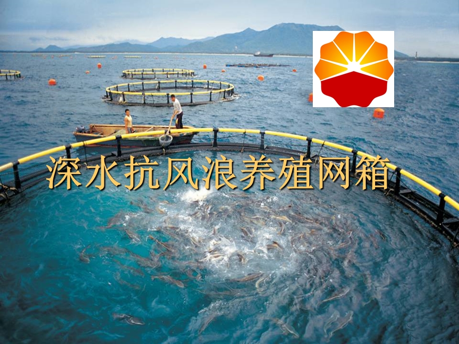 深水抗风浪养殖网箱.ppt_第1页