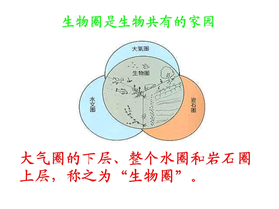 生物生命的世界.ppt_第3页