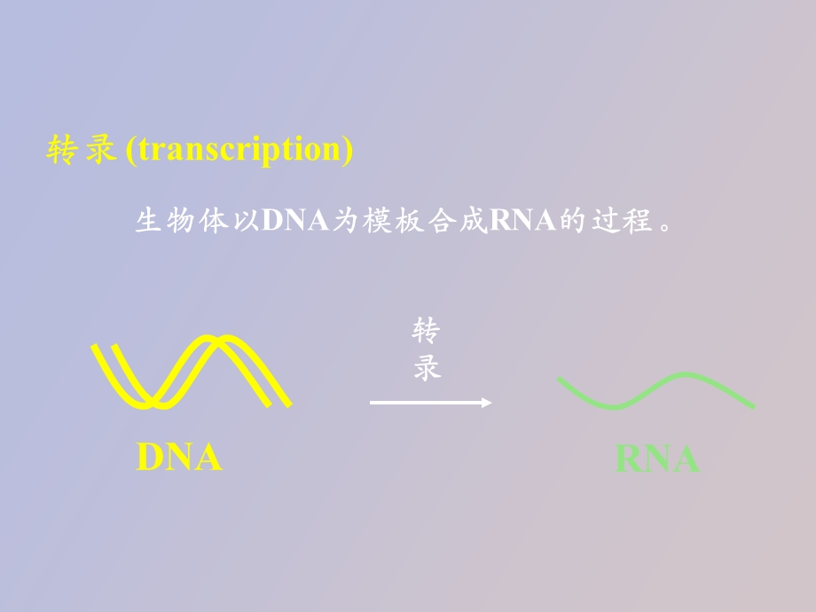 生化课件内容.ppt_第3页