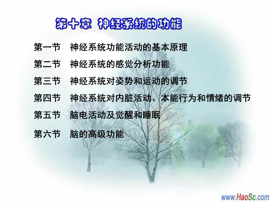 神经系统的功能(本科).ppt_第2页