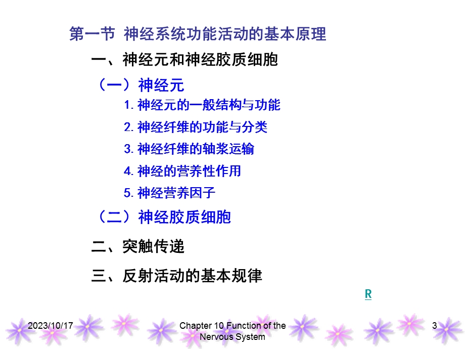 神经系统的功能(本科).ppt_第3页