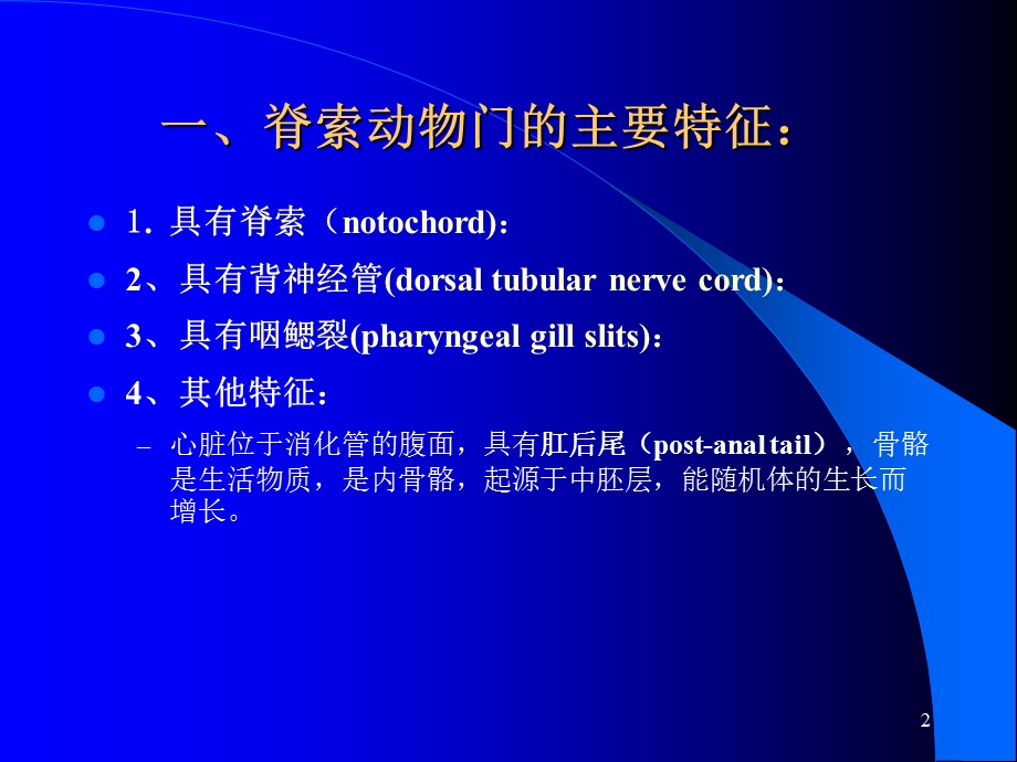 脊索动物门Chordata2学时.ppt_第2页