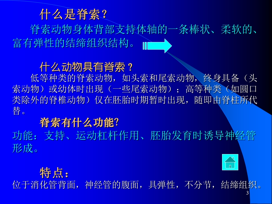 脊索动物门Chordata2学时.ppt_第3页